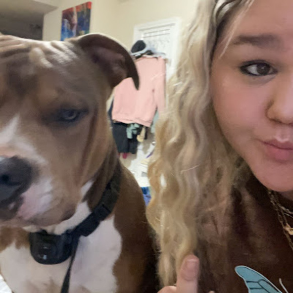 Meet your Posher, Bryleigh - Picture 1 of 1